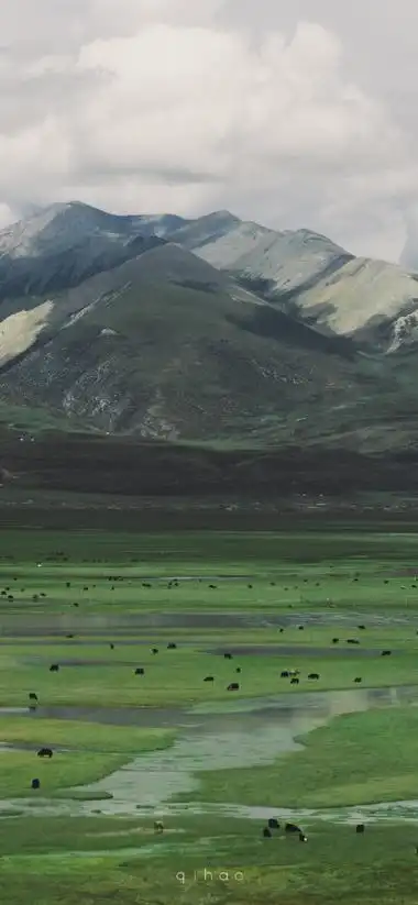 iphone11情侣壁纸