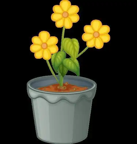 盆栽卡通图片大全可爱(圣诞卡通图片大全可爱)_来养植物网