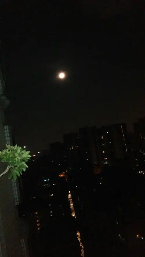 月光洒满脸,带给我的是淡淡的喜悦,淡淡的忧伤.