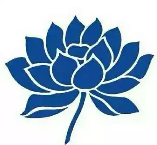 蓝莲花 许巍 - 时光·漫步愿你出走半生,归来仍是少年.