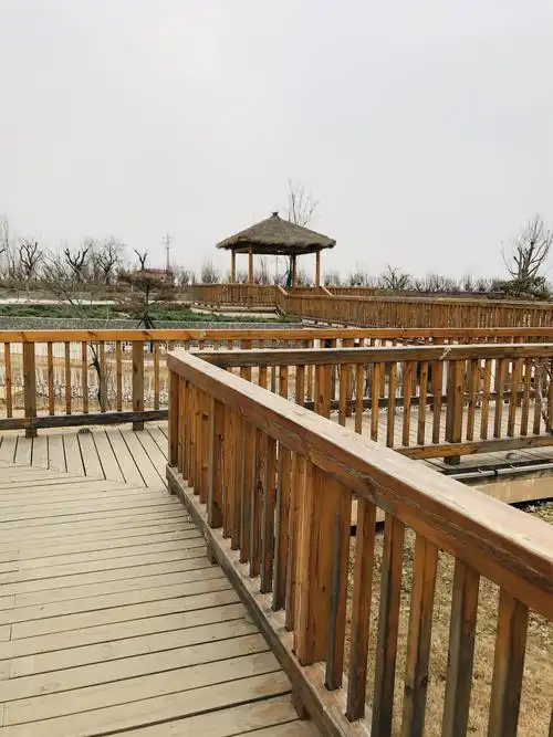 探线陕西省首家村级农业公园~大荔畅家村朝邑国家湿地公园.