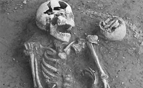 千年古墓挖出46具少女尸骨,关节长出绿色植物,尸检让人不寒而栗_纺织