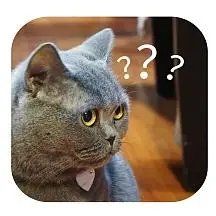 问号黄色卡通可爱企业商用就这疑惑大字报漫画公众号首图表情包我不信