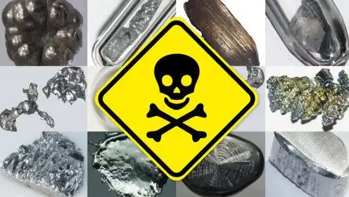 重金属都是有毒的吗?对身体的危害到底有多大?