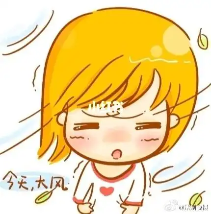 今天风太大了伞都被吹跑了两点半出门到4点都没有办法摆摊儿只好又