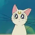 露娜(日本动漫《美少女战士》中的猫)