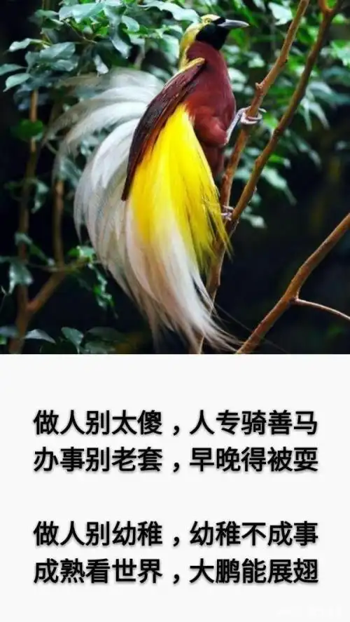 做人别傻大方,便宜了别人,为难了自己