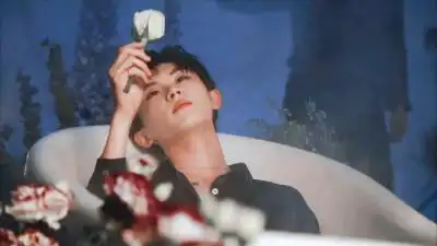 玫瑰马嘉祺·截修 cr:wb