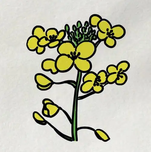 春天来了,夏天还会远吗#儿童简笔画  #简笔画教程  #春天