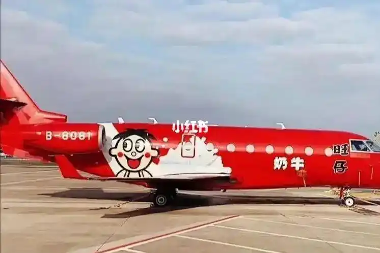 旺旺家私人飞机真的好可爱啊