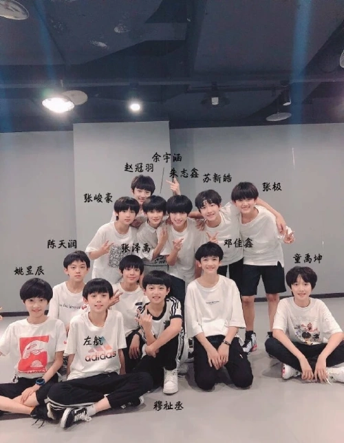 tf家族三代