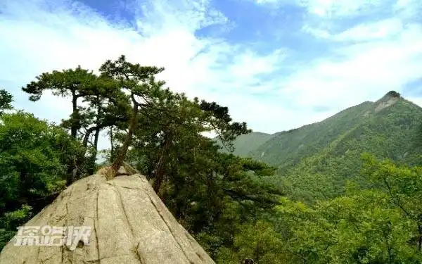 探路侠 目的地 六安 安徽 天堂寨 > 龙脊背概况