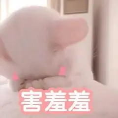 害羞羞(猫咪表情包)_猫咪_害羞表情