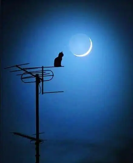 所以当喧闹的城市安静下来的时候,我只能一个人在酒店房间的窗前发呆