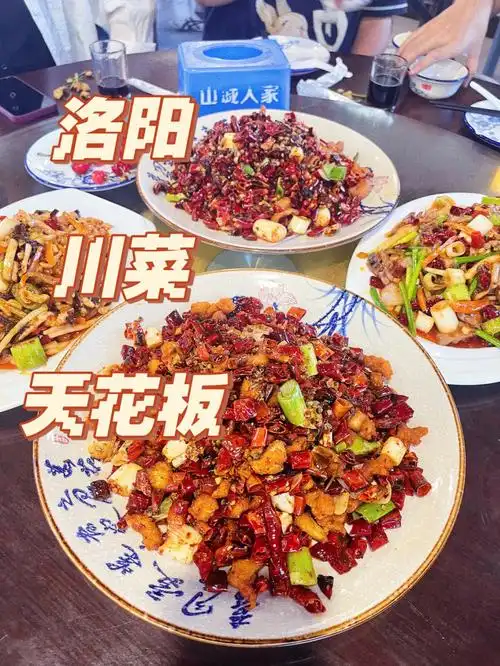 家最好吃的川菜 我一定会选它7860156015每道菜都没踩过雷