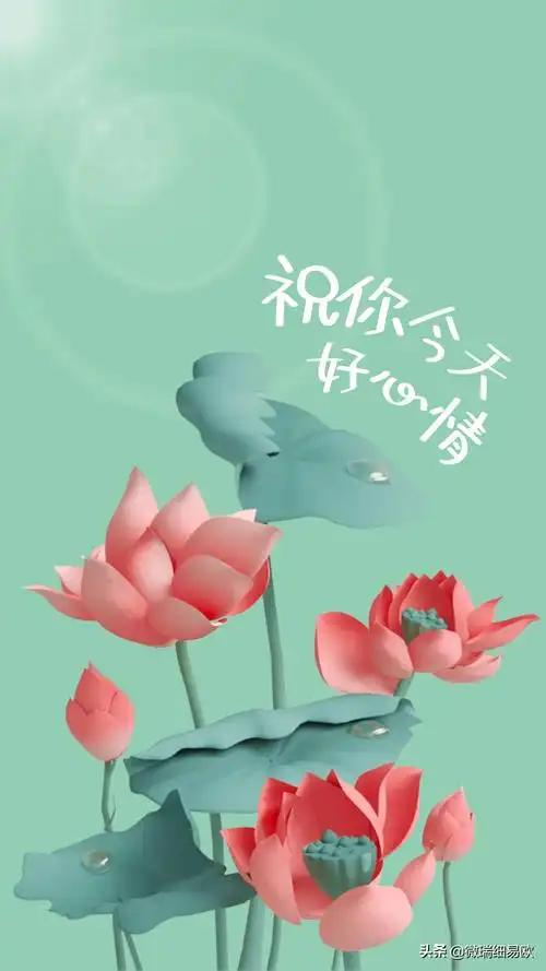 图片大全 心情,今天又是个好日子 - 玉三网