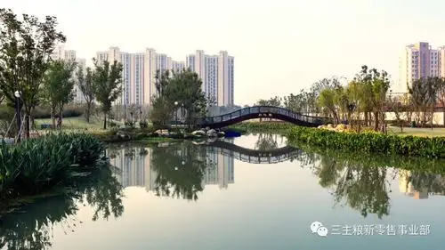 简直是世外桃源!常熟文化片区再添新景——琴川城市公园(上集)
