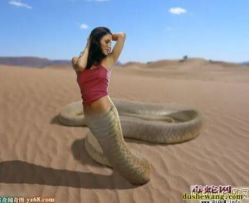 美人蛇图片