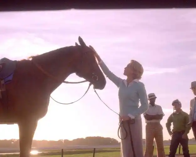 secretariat 一代骄马 高清壁纸(一)32 - 1280x1024