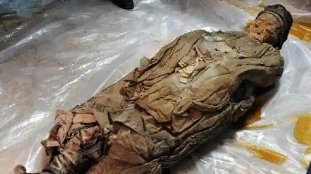 令妃尸身为什么不腐令妃娘娘200年尸身不腐的原因