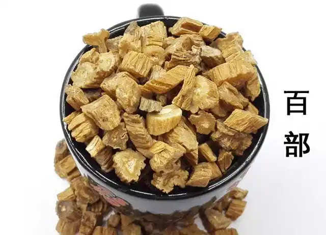 熟悉中药认识一下百部不仅是止咳平喘还有一点值得了解