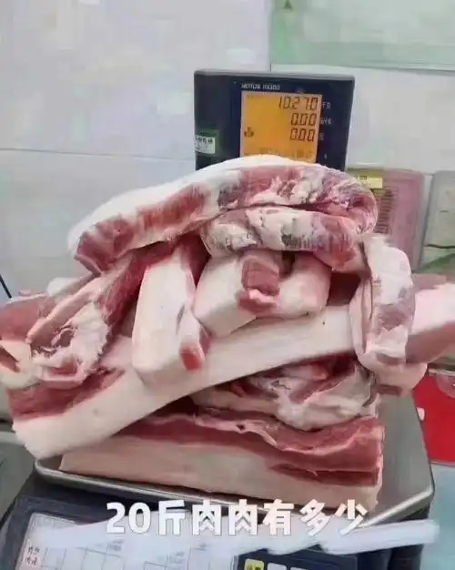 胖二十斤肉