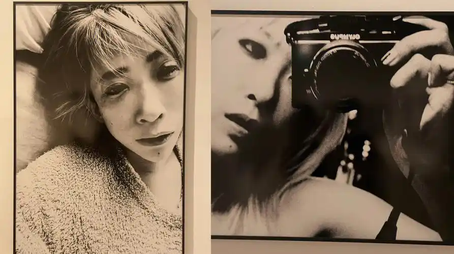 不多 布光也不算特别友好但确实很喜欢这个花卉和金鱼的光影和色彩了