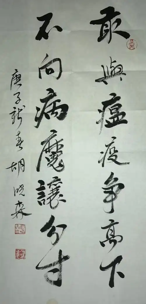 东台书法家协会抗击疫情书法作品网络展