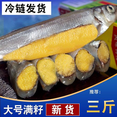 满籽多春鱼新鲜冷冻现货多子鱼生冻烧烤带籽鱼海鲜批发商用整箱