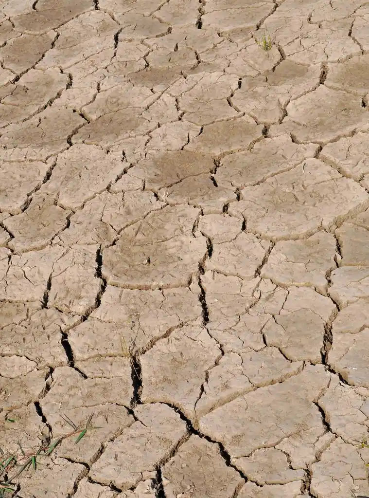 干涸的土地,关闭的干, 裂农场土地
