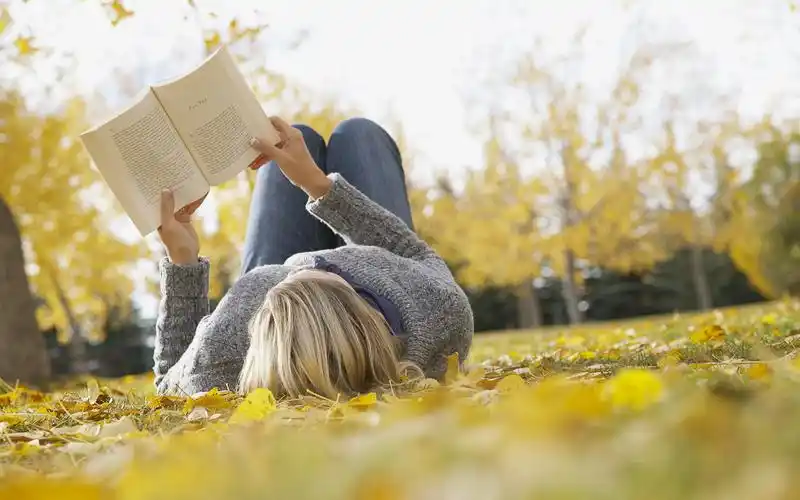 享受悠闲轻松的生活电脑桌面壁纸高清