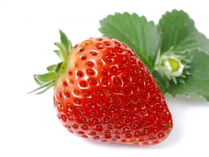 查看大图(源图)|  点击:0| 创建者:塔罗假面天蝎草莓