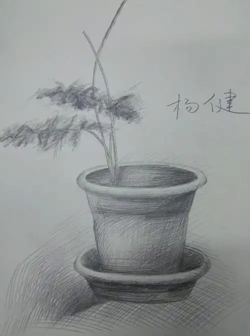 二次植物速写写生(高一) 写美篇          为此,搬来植物几盆,有文竹