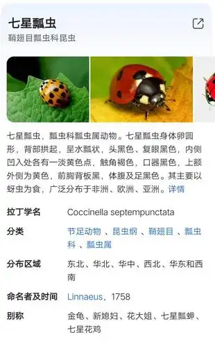 七星飘虫简介(节足动物)