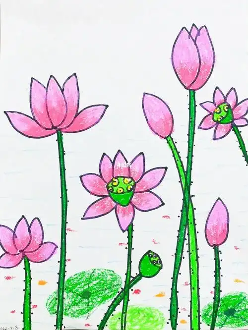 夏天主题儿童画丨荷花