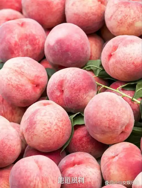 中国桃桃宇宙,究竟哪里的桃子更好吃?