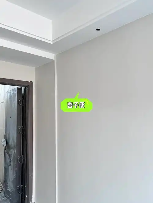 立邦杏子灰|乳胶漆踩的坑一个接一个|第一次喷的杏子灰颜色出错了