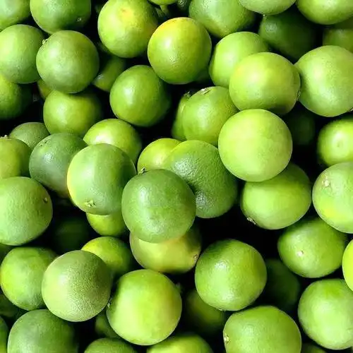 新鲜现货云南冰糖橙现摘现发绿皮橙子当季水果橙