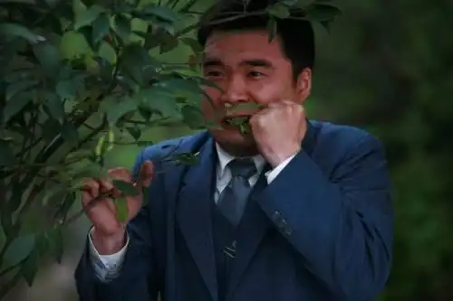 《牌坊下的女人》角色介绍 崔钟饰黄平昭