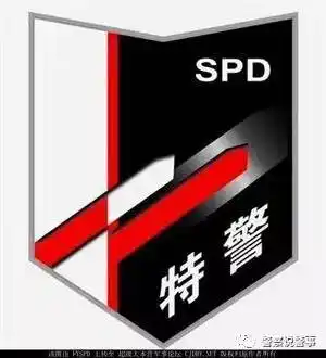 最全特警标志臂章图集