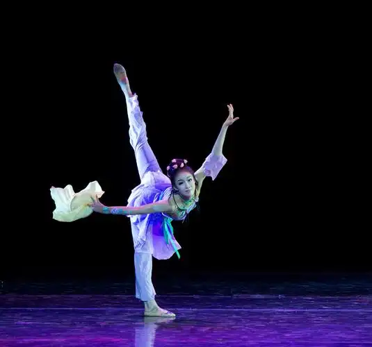 中国古典舞女子独舞《撷云秀锦》舞者:金源宇