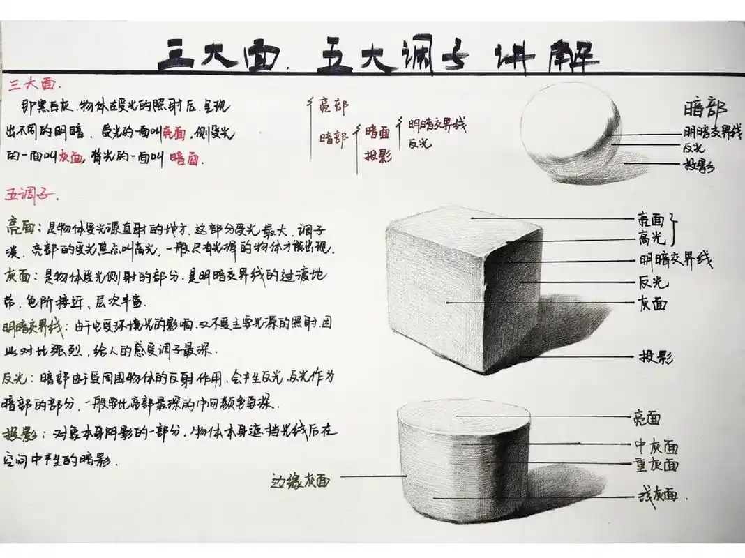 素描基础,三大面,五大调子浅析.