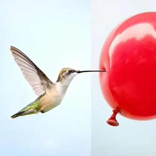 眼前一亮这些创意拼接照片实在太有趣了