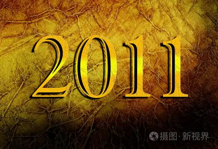 2011年数字