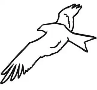 幼儿画老鹰的简笔画