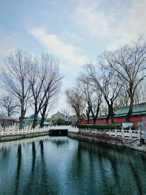 有你更酷,手机摄影记录北海公园的唯美风景_白塔_北京_游客