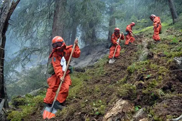 新疆博州发生山火 森林武警成功扑救