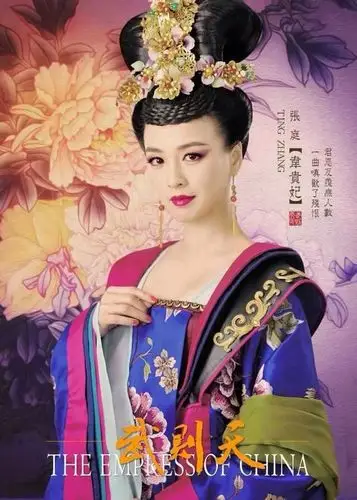 武媚娘传奇 角色海报 - mtime时光网