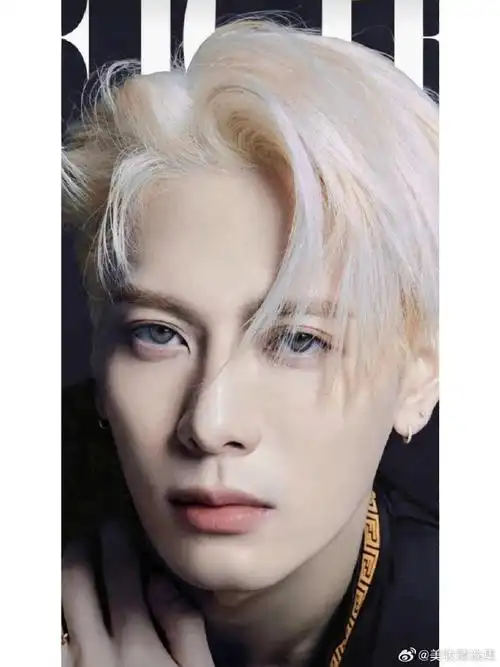 王嘉尔##韩式发型##王嘉尔黑白双拼发色