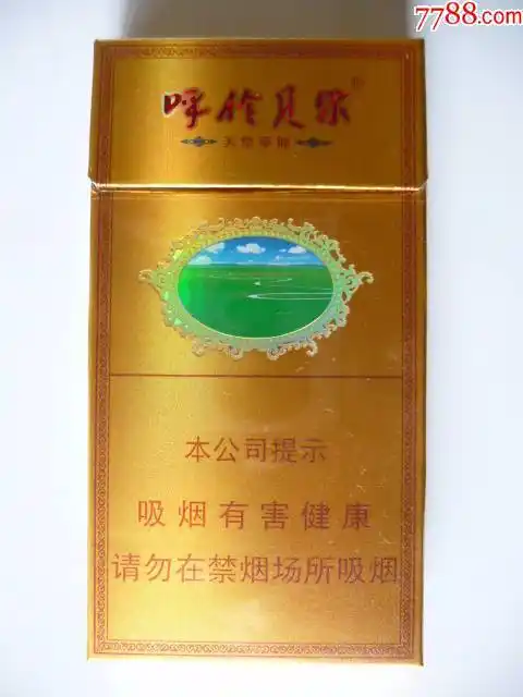 呼伦贝尔---天堂草原(焦8--0.8--8.16尽早版)